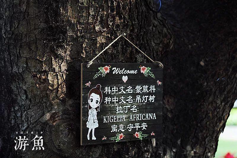 侨领政协委员深耕“世界商田” 冀“地瓜经济”挺进蓝海